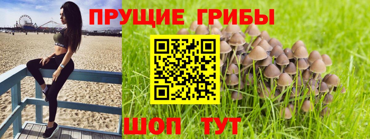 Псилоцибиновые грибы Magic Shrooms  Вход с VPN  Рубцовск 